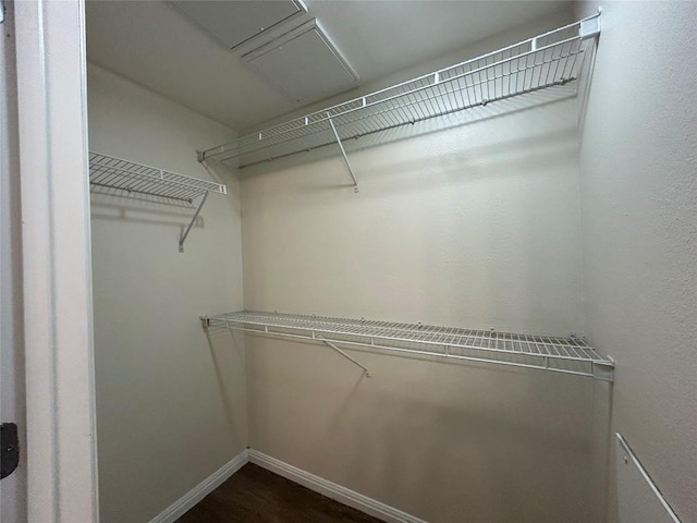 spacious closet featuring dark wood-type flooring