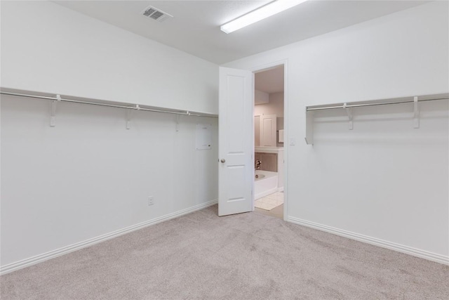 spacious closet with light colored carpet