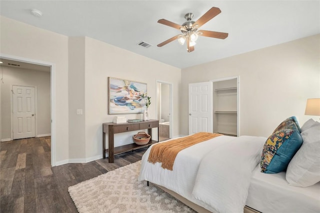 bedroom with a walk in closet, ceiling fan, a closet, and dark hardwood / wood-style floors