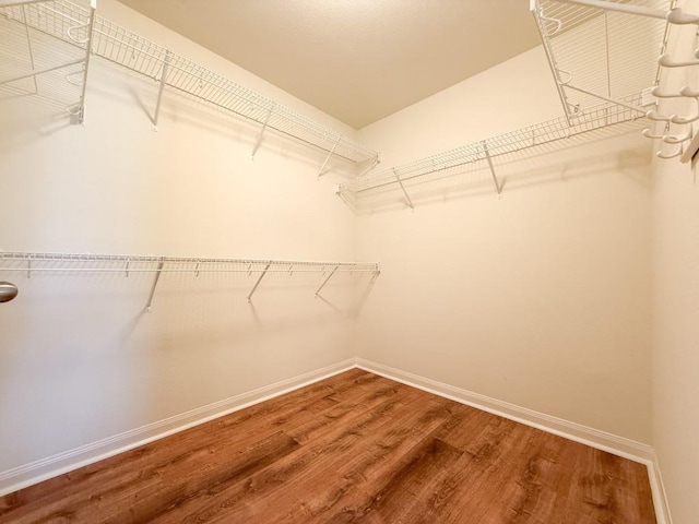 walk in closet with hardwood / wood-style floors