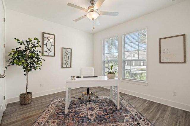 office with a wealth of natural light, ceiling fan, and dark hardwood / wood-style floors