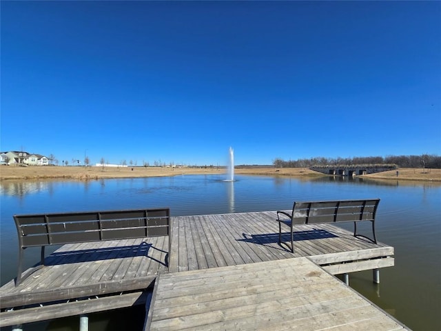 141 Appleberry Ln, Elgin, TX 78621 - photo 17