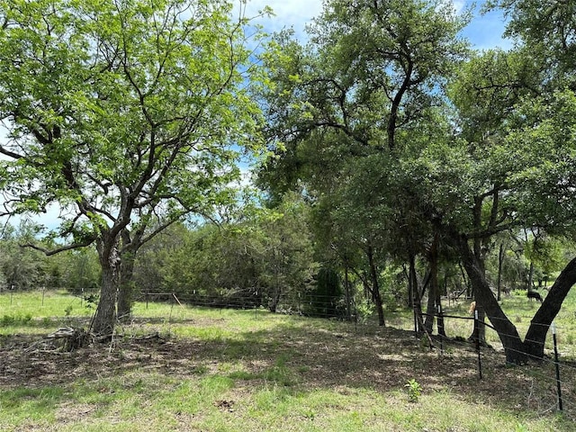 Listing photo 2 for 58C-6 Bryce Trl, Briggs TX 78608