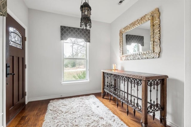 foyer entrance featuring dark hardwood / wood-style flooring and a wealth of natural light