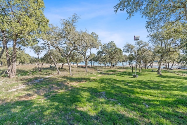 view of yard featuring a water view