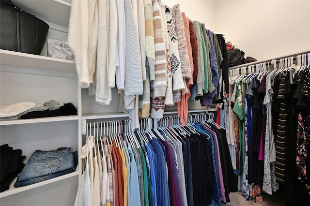 walk in closet with carpet floors