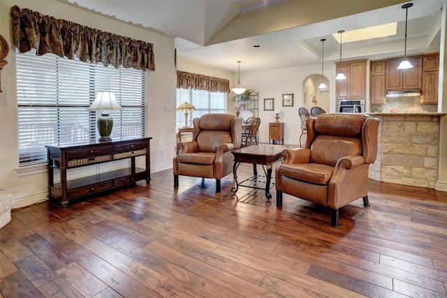 living room with vaulted ceiling, dark hardwood / wood-style floors, and a raised ceiling