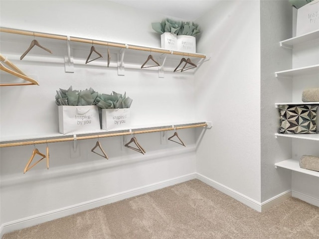 spacious closet with carpet floors