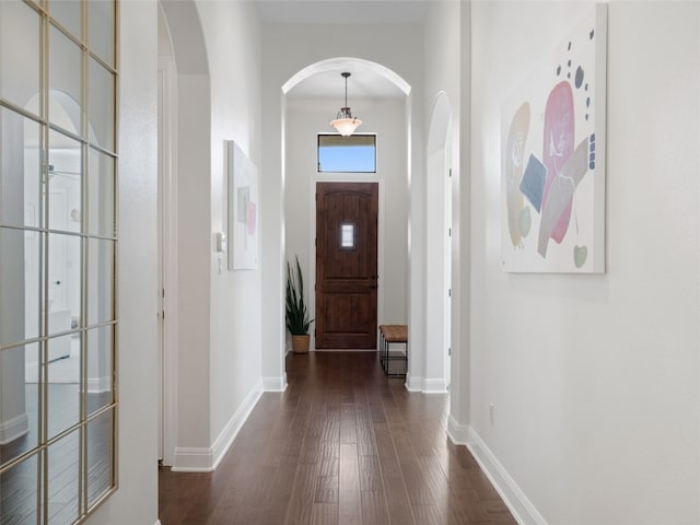 foyer entrance with dark wood-type flooring