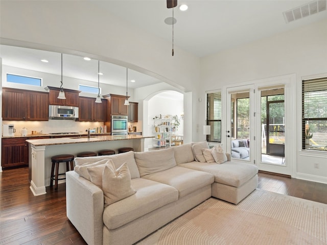 living room with sink and dark wood-type flooring