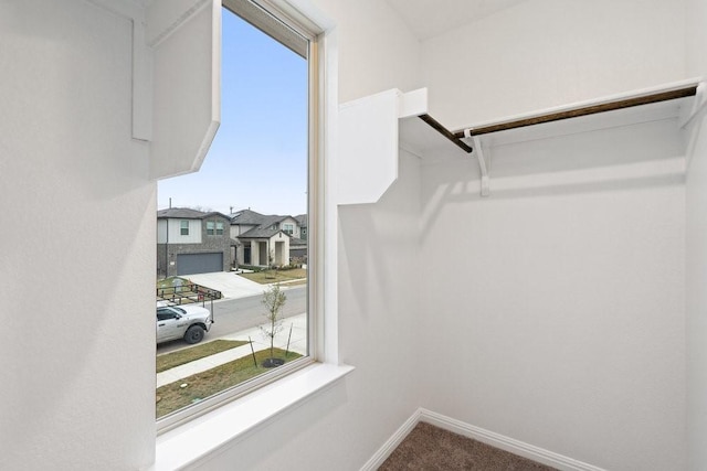 spacious closet featuring carpet