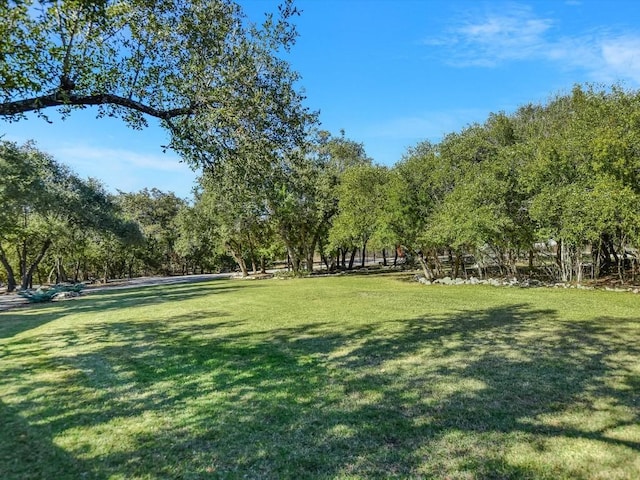 view of community featuring a lawn