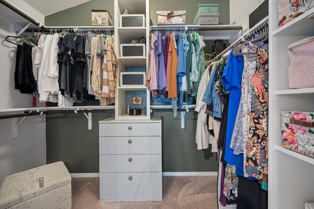 walk in closet featuring carpet floors