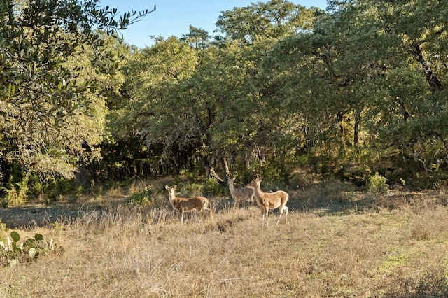 view of landscape