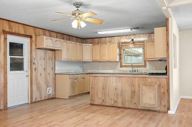 kitchen with ceiling fan, light brown cabinets, sink, light hardwood / wood-style flooring, and a textured ceiling