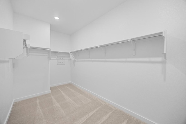 6000 Sean Paul Ln, Georgetown, TX 78628 - walk in closet featuring carpet flooring