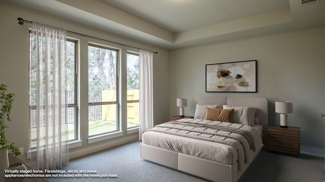 5612 Kyle Joseph Dr, Georgetown, TX 78628 - carpeted bedroom with multiple windows and a tray ceiling
