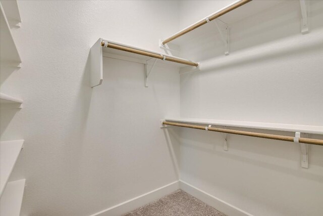 832 Venus Cir, Round Rock, TX 78664 - spacious closet featuring carpet