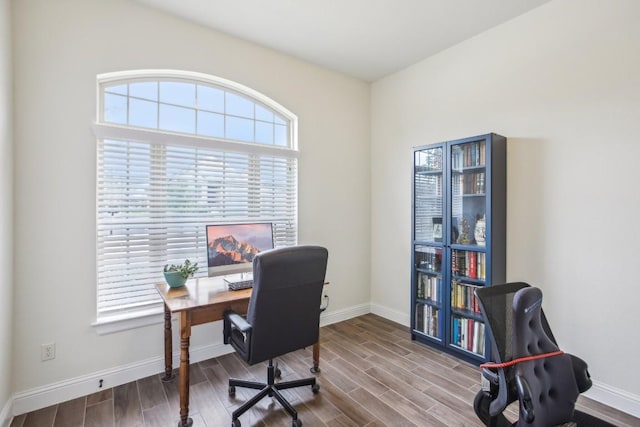 office with wood-type flooring