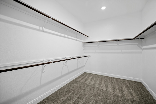 spacious closet with carpet flooring