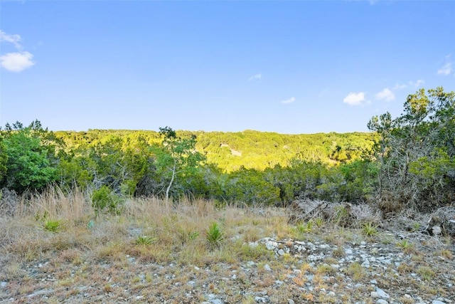 2202 Harmon Hills Rd, Dripping Springs, TX 78620 - photo 3