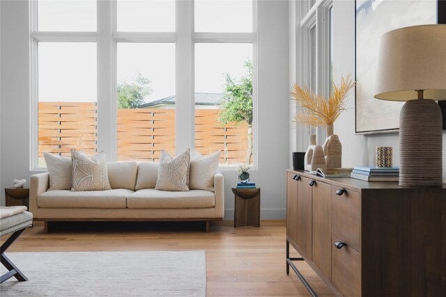 17216 Morning Grove Ln, Austin, TX 78738 - living room with light wood-style floors