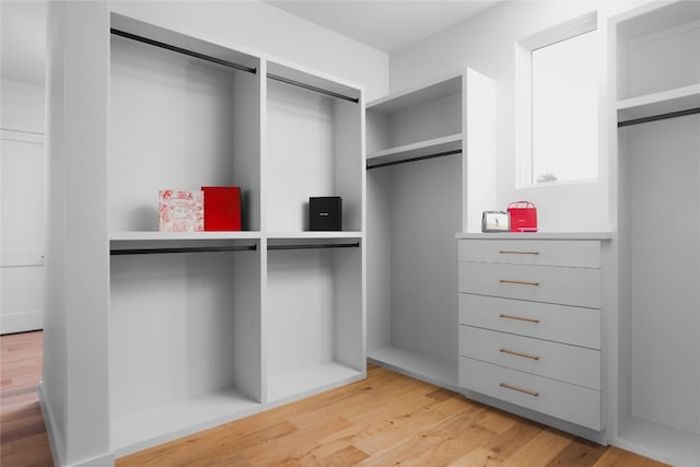 spacious closet with wood finished floors