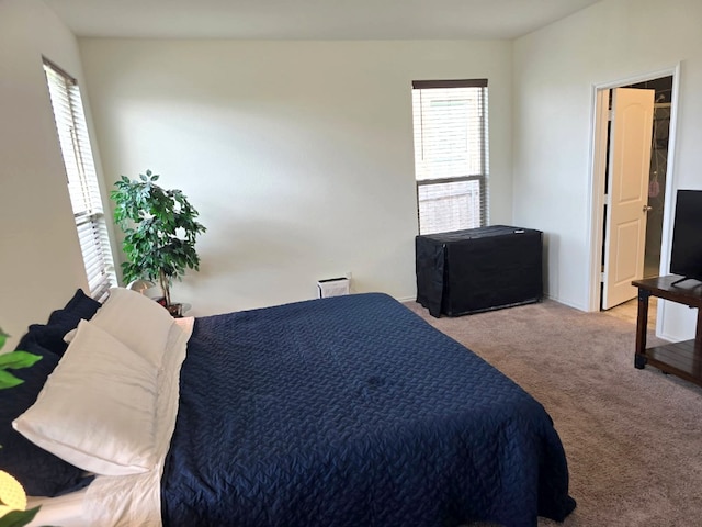 4429 Venticano Pl, Round Rock, TX 78665 - view of carpeted bedroom