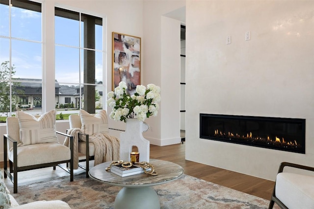 living area with a glass covered fireplace and wood finished floors