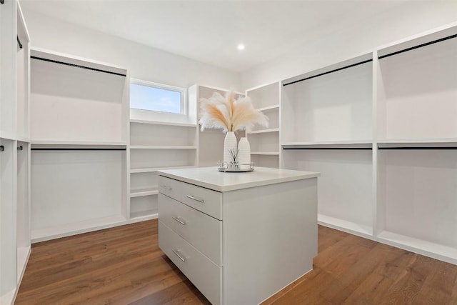 walk in closet featuring wood finished floors