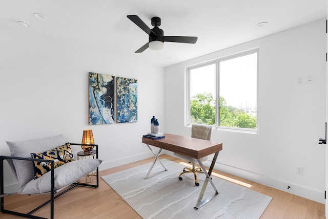 office space with ceiling fan and light hardwood / wood-style flooring