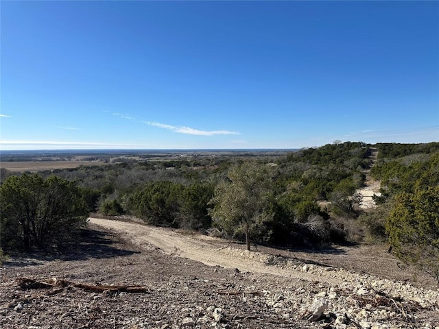 Listing photo 3 for TBD Fm 2955, Gatesville TX 76528