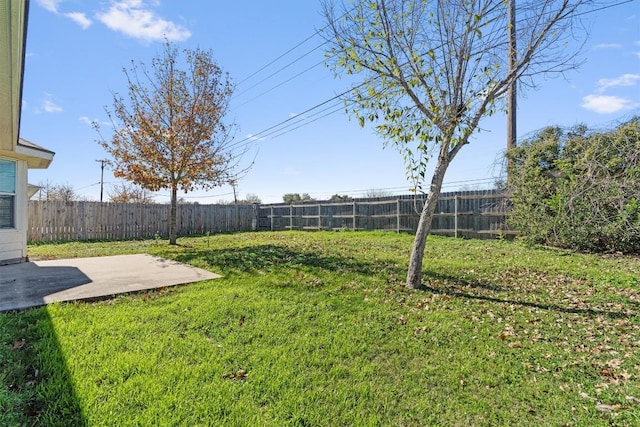 view of yard featuring a patio area