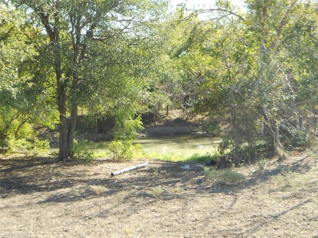 377 Crooked Rd, Dale, TX 78616 - view of local wilderness