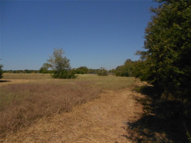 view of nature featuring a rural view