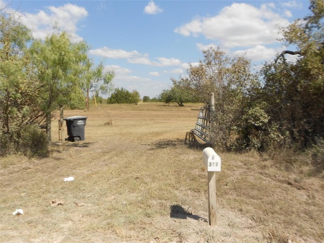377 Crooked Rd, Dale, TX 78616 - view of yard
