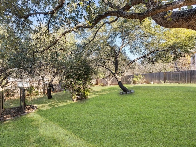 view of yard with a fenced backyard