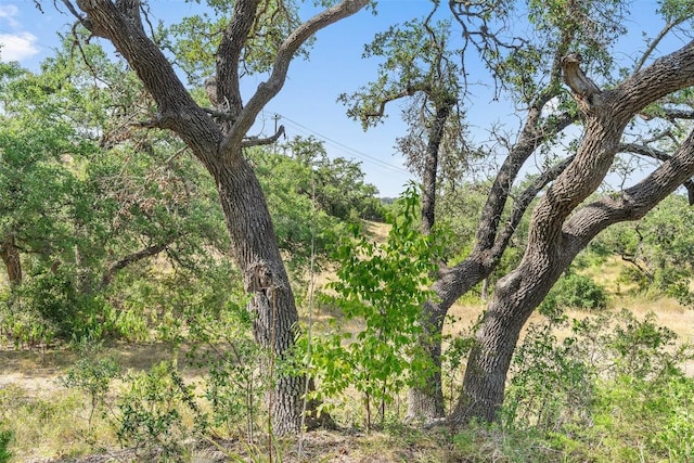 17117 Whispering Breeze Dr, Austin, TX 78738