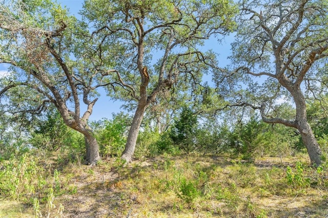 17117 Whispering Breeze Dr, Austin, TX 78738