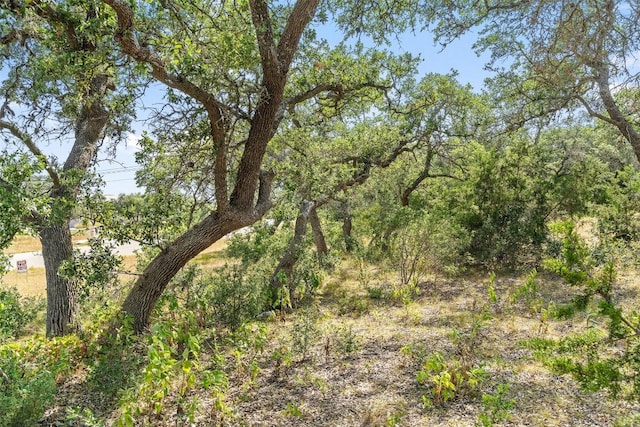 17117 Whispering Breeze Dr, Austin, TX 78738