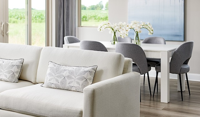 dining space featuring hardwood / wood-style flooring