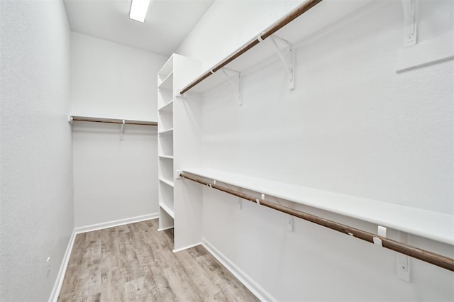 spacious closet with light hardwood / wood-style flooring