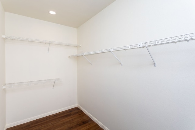 spacious closet with dark wood-type flooring