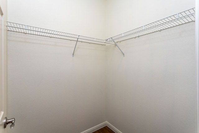 spacious closet featuring hardwood / wood-style floors