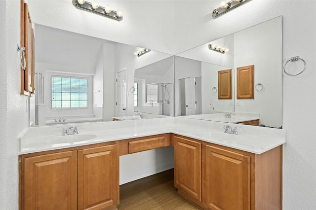 bathroom featuring vanity, wood-type flooring, and a shower with door