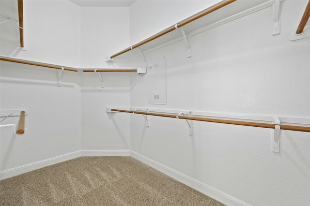 spacious closet with carpet