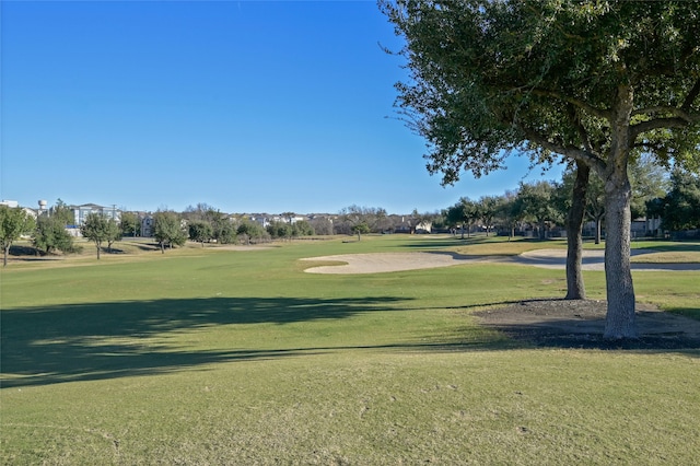 view of community featuring a yard