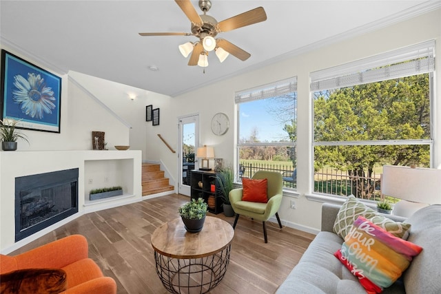 living room with ceiling fan, hardwood / wood-style floors, and crown molding