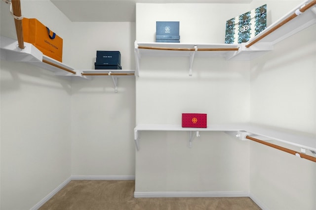 walk in closet with light carpet