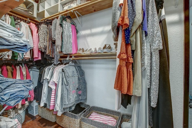 view of spacious closet